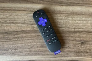 roku tv remote 1