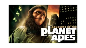 stream online movies 1